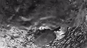 Art Film GIF by jorgemariozuleta