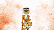 Chester Cheetah Flamin Hot GIF by Cheetos