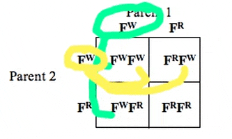 mrsbucksclass giphygifmaker GIF