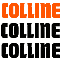 Festival Sticker by Colline