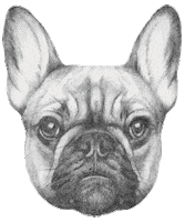 chunk Sticker by Part IV