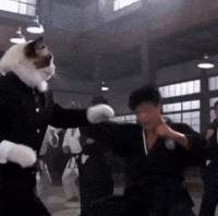 Kung Fu Fight GIF
