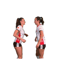 Volleyball Celebrate Sticker by cuneo_granda_volley