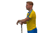 Floorball Salibandy Sticker by F-liiga