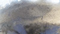A Sand Portrait (2015)