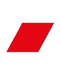 audi audi Sticker