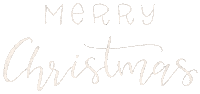 Merry Christmas Sticker