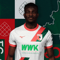 Bundesliga Nigeria GIF by FC Augsburg 1907