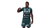 Green Team Handball Sticker by USAM NIMES GARD