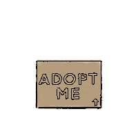 Cat Adoption Sticker by MICA Graphic Design Motion