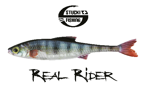 Fanatics Sticker by Stucki Fishing