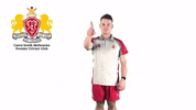 CaseySouthMelbourneCC swans csmcc caseysouthswans GIF