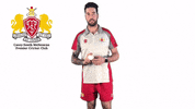 CaseySouthMelbourneCC swans csmcc caseysouthswans GIF