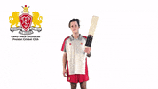 CaseySouthMelbourneCC swans csmcc caseysouthswans GIF
