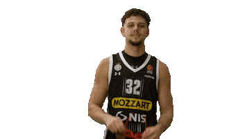 Partizan Sticker by sportmts