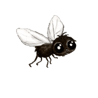 Spider Fliege Sticker by Die kleine Spinne Widerlich