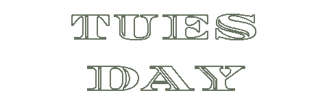 Black And White Friday Sticker