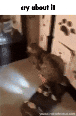 Cry About It GIF