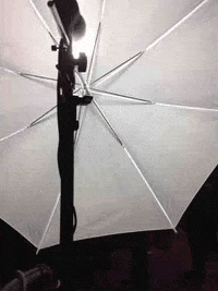 comedy-hack-day GIF by Cultivated Wit