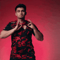 Proud Logo GIF by SINNERS Esports