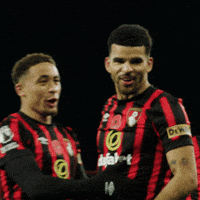 Happy Premier League GIF by AFC Bournemouth
