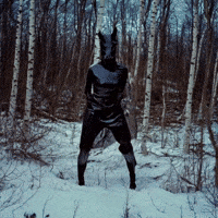 Dance Horse GIF