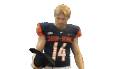 Black Hat Sticker by Carson-Newman Athletics