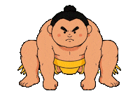 Sport Japan Sticker