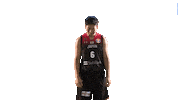 World Cup Game Sticker by FIBA