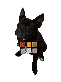 Filipino Aso Sticker