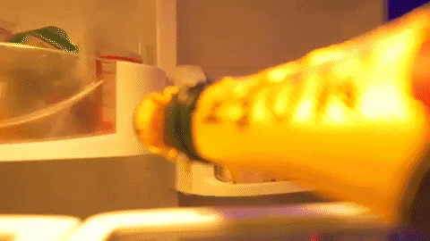whereswongo giphygifmaker GIF