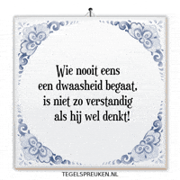 Humor Nl GIF by Tegelspreuken.nl