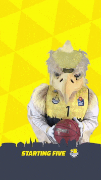 Starting Five Ewe Baskets GIF by EWE Baskets Oldenburg