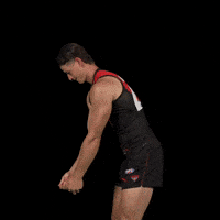 Afl Footy GIF by Essendon FC