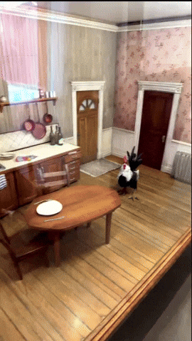 GIF by Alex Boya