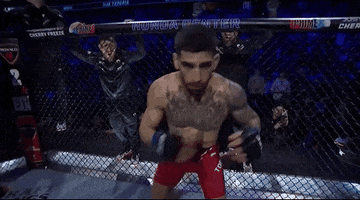 Mixed Martial Arts Sport GIF by UFC