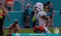 Miami Dolphins Football GIF by NFL