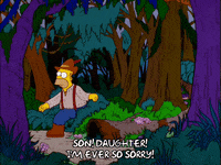 homer simpson GIF