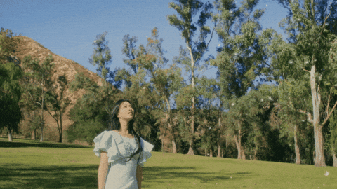 addamakpop giphyupload nature park echo GIF