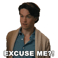 Excuse Me Question Sticker by HULU