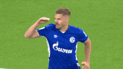 Football Soccer GIF by FC Schalke 04