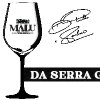 Wine Amigos Sticker