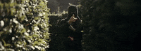 birds GIF by M Huncho