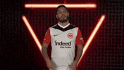 Oh No Frankfurt GIF by Bundesliga