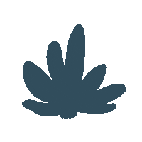 Hawaii Sticker