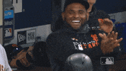 regular season sport GIF by MLB