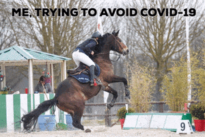 Equestrian_News fail horse covid coronavirus GIF