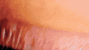 taramcdonaldtv party money pop fiesta GIF
