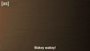 Wake Up Lazarus GIF by Adult Swim