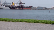 maryland GIF